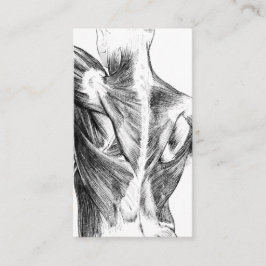  anatomie | Rugspieren (ongeveer 1852) | B/W Visitekaartje