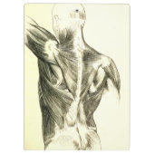  anatomie | Rugspieren (ongeveer 1852) Klembord (Achterkant)