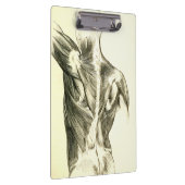  anatomie | Rugspieren (ongeveer 1852) Klembord (Rechts)