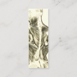  anatomie | Rugspieren (ongeveer 1852) Mini Visitekaartje