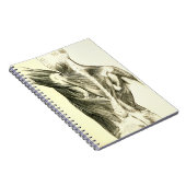  anatomie | Rugspieren (ongeveer 1852) Notitieboek (Rechterzijde)