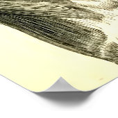  anatomie | Rugspieren (ongeveer 1852) Poster (Hoek)