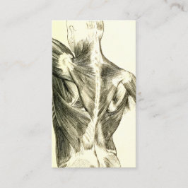  anatomie | Rugspieren (ongeveer 1852) Visitekaartje
