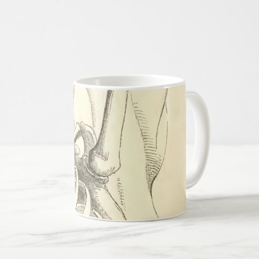 anatomie | Schoudergewricht (circa 1852) Koffiemok (Voorkant rechts)