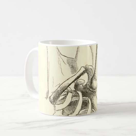 anatomie | Schoudergewricht (circa 1852) Koffiemok (Voorkant links)