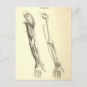 anatomie | Spier en Bot van de Arm Briefkaart (Voorkant)