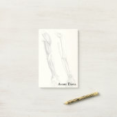  anatomie | Spier en Bot van de Arm Post-it® Notes (Op bureau)