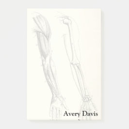  anatomie | Spier en Bot van de Arm Post-it® Notes