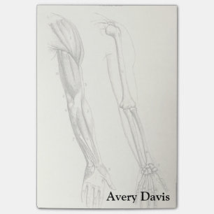  anatomie   Spier en Bot van de Arm Post-it® Notes