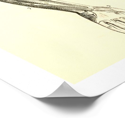  anatomie | Spier en Bot van de arm Poster (Hoek)