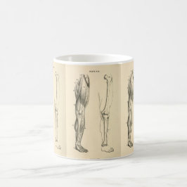  anatomie |   Spieren en Botten van de been Koffiemok