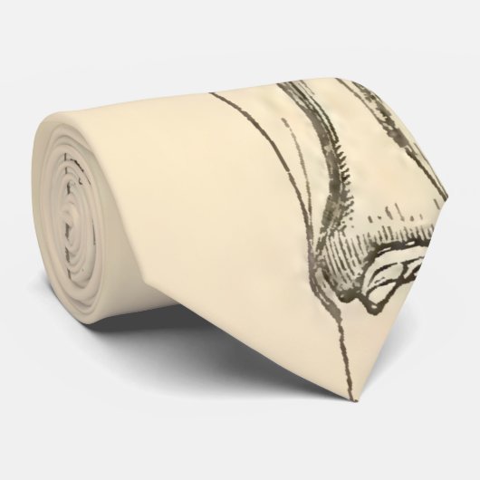  anatomie |   Spieren en Botten van de been Stropdas (Opgerold)