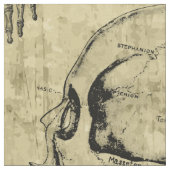  anatomie stof (Close Up)