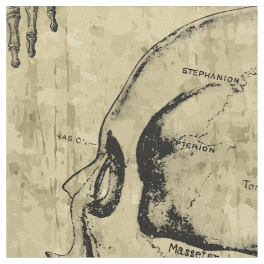  anatomie stof (Close Up)