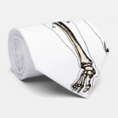 anatomie stropdas (Opgerold)