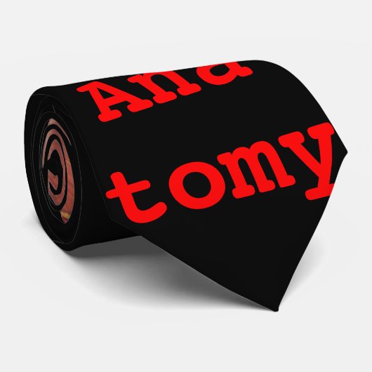 Anatomie stropdas- anatomie van het ooghart stropdas (Opgerold)