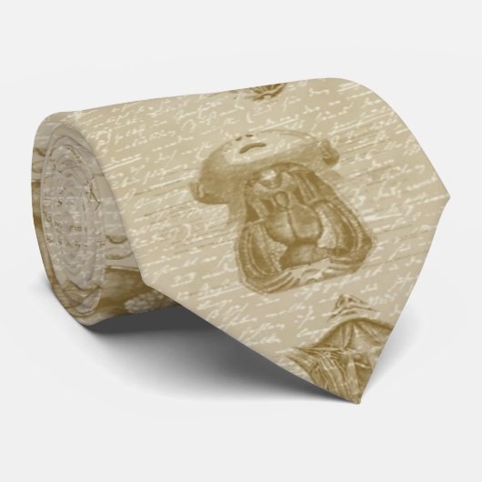 anatomie-stropdas stropdas (Opgerold)