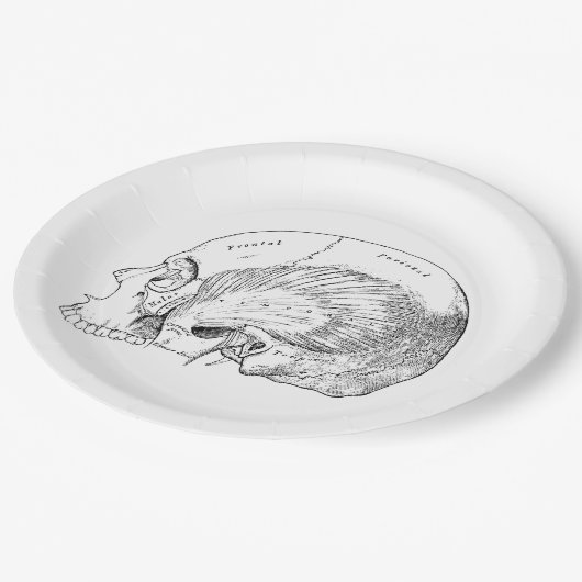  anatomie Tekening van de menselijke Temporele Spi Papieren Bordje (Gekanteld)