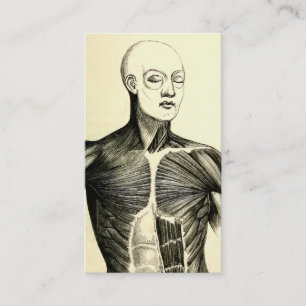 anatomie Torso (circa 1852) Visitekaartje