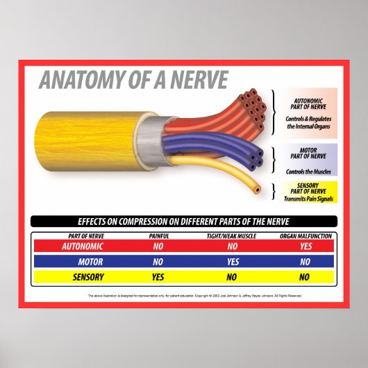 Anatomie van A Nerve 2015 Poster (Voorkant)