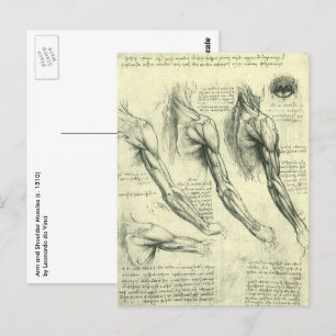 Anatomie van arm en schouder door Leonardo da Vinc Briefkaart