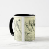 Anatomie van arm en schouder door Leonardo da Vinc Mok (Voorkant links)