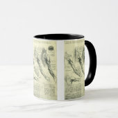 Anatomie van arm en schouder door Leonardo da Vinc Mok (Voorkant rechts)