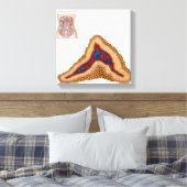 Anatomie van bijnierklier, transversale sectie canvas afdruk (Insitu (Slaapkamer))