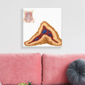 Anatomie van bijnierklier, transversale sectie canvas afdruk (Insitu (Woonkamer))