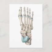 Anatomie van Botten van de voet Briefkaart (Voorkant)