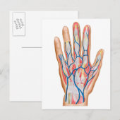Anatomie van de achterkant van de menselijke hand briefkaart (Voorkant / Achterkant)