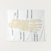 Anatomie van de botten wandkleed (Voorkant (horizontaal))