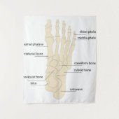 Anatomie van de botten wandkleed (Voorkant)