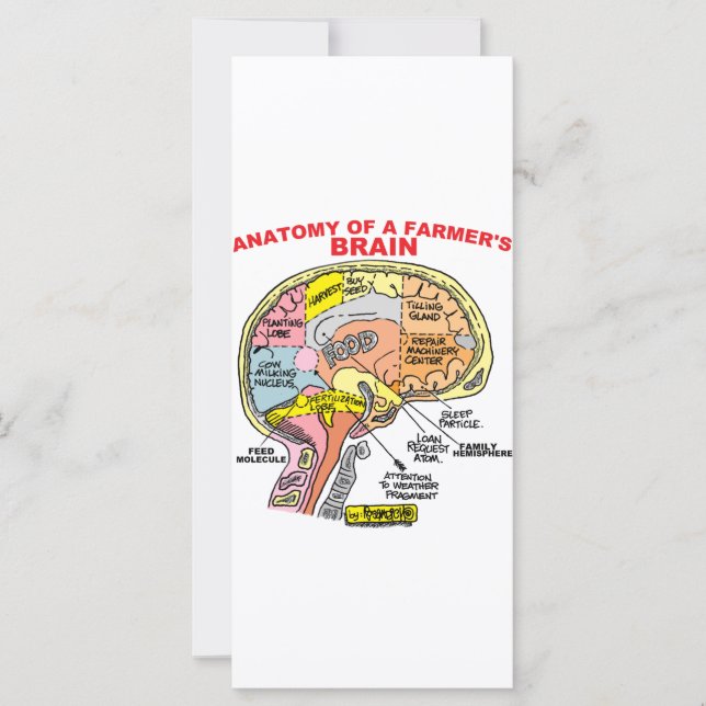 ANATOMIE VAN DE BRAIN VAN EEN LANDBOUW (Voorkant)