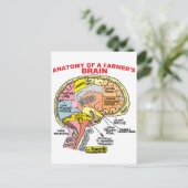 ANATOMIE VAN DE BRAIN VAN EEN LANDBOUW BRIEFKAART (Staand voorkant)