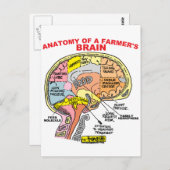 ANATOMIE VAN DE BRAIN VAN EEN LANDBOUW BRIEFKAART (Voorkant / Achterkant)