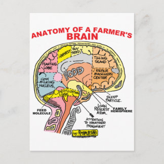ANATOMIE VAN DE BRAIN VAN EEN LANDBOUW BRIEFKAART