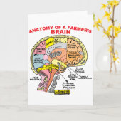 ANATOMIE VAN DE BRAIN VAN EEN LANDBOUW KAART (Gele Bloem)