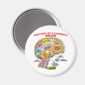 ANATOMIE VAN DE BRAIN VAN EEN LANDBOUW MAGNEET (Voorkant / Achterkant)