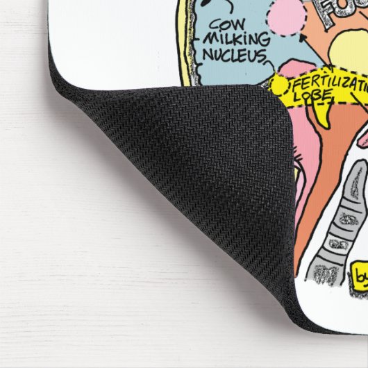 ANATOMIE VAN DE BRAIN VAN EEN LANDBOUW MUISMAT (Hoek)