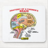 ANATOMIE VAN DE BRAIN VAN EEN LANDBOUW MUISMAT (Voorkant)