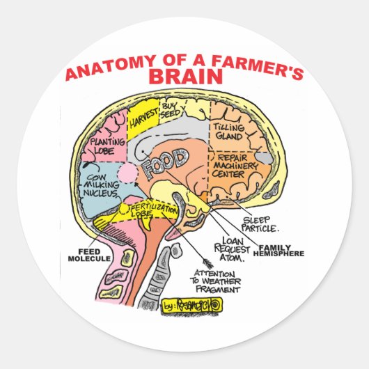 ANATOMIE VAN DE BRAIN VAN EEN LANDBOUW RONDE STICKER (Voorkant)