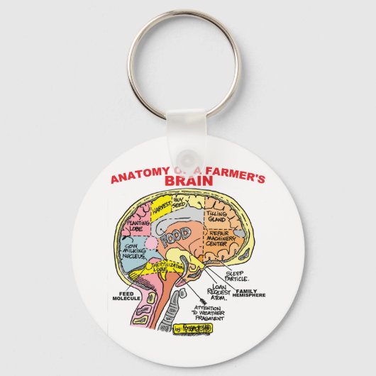 ANATOMIE VAN DE BRAIN VAN EEN LANDBOUW SLEUTELHANGER (Voorkant)