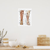 Anatomie van de Feet Poster (Keuken)