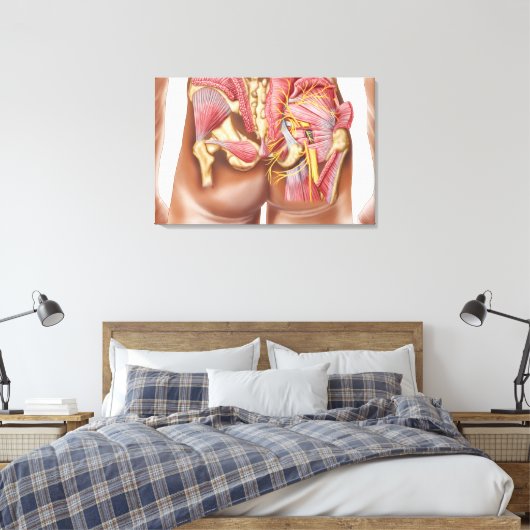 Anatomie van de glazige spieren in knoppen canvas afdruk (Insitu (Slaapkamer))