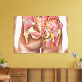 Anatomie van de glazige spieren in knoppen canvas afdruk (Insitu (Woonkamer))