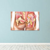 Anatomie van de glazige spieren in knoppen canvas afdruk (Insitu (Houten vloer))