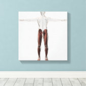 Anatomie van de mannetjes, voorzijde 2 canvas afdruk (Insitu (Houten vloer))