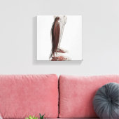 Anatomie van de mannetjes, voorzijde 3 canvas afdruk (Insitu (Woonkamer))