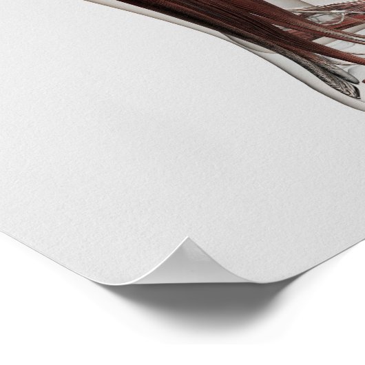 Anatomie van de mannetjes, voorzijde 3 poster (Hoek)